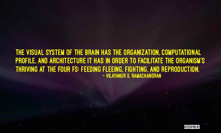 Fighting The System Quotes By Vilayanur S. Ramachandran