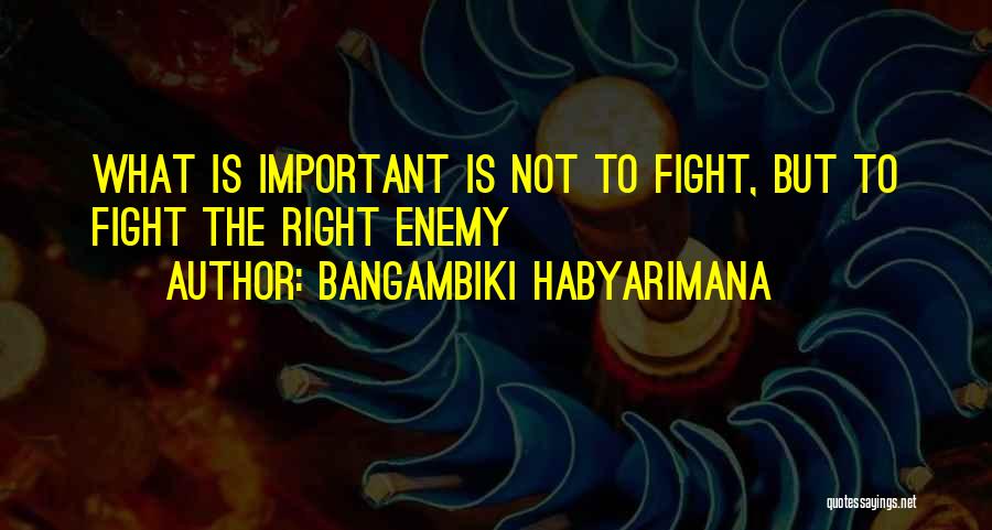 Fighting What Is Right Quotes By Bangambiki Habyarimana
