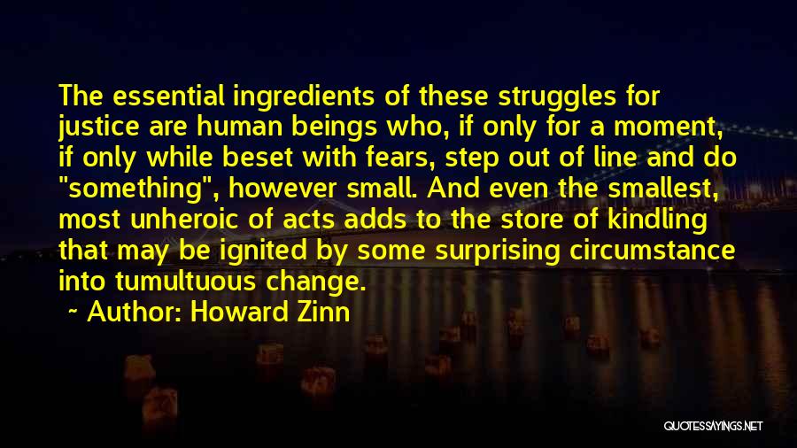 Fighting Your Fears Quotes By Howard Zinn
