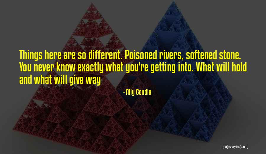 Fightmaster Quotes By Ally Condie Fightmaster Quotes By Ally Condie