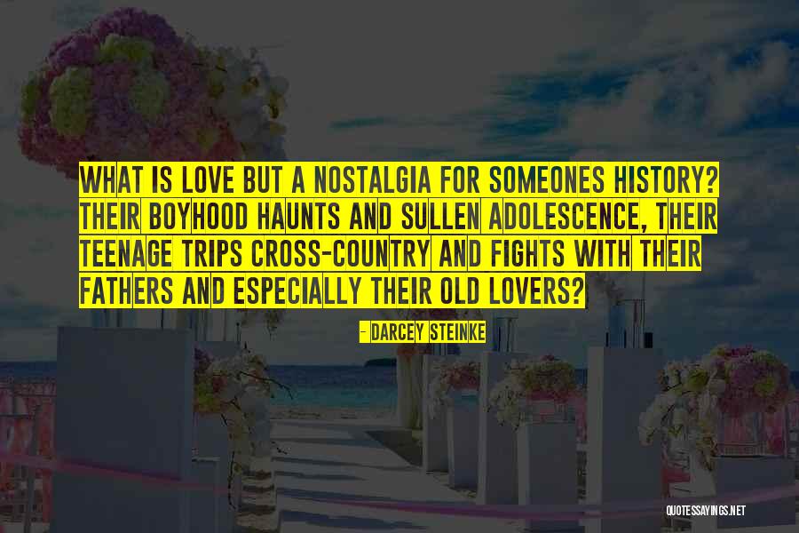 Fights And Love Quotes By Darcey Steinke Fights And Love Quotes By Darcey Steinke