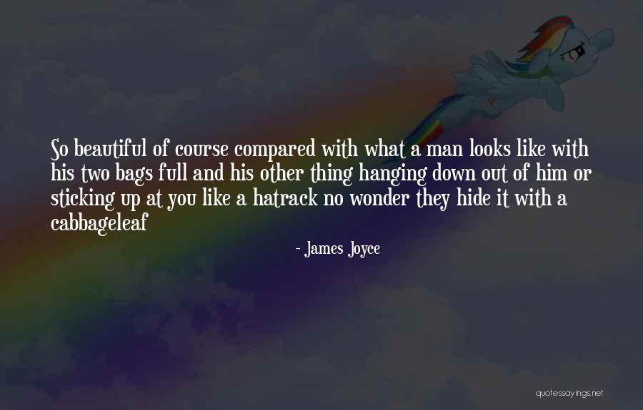 Figleaf Quotes By James Joyce Figleaf Quotes By James Joyce