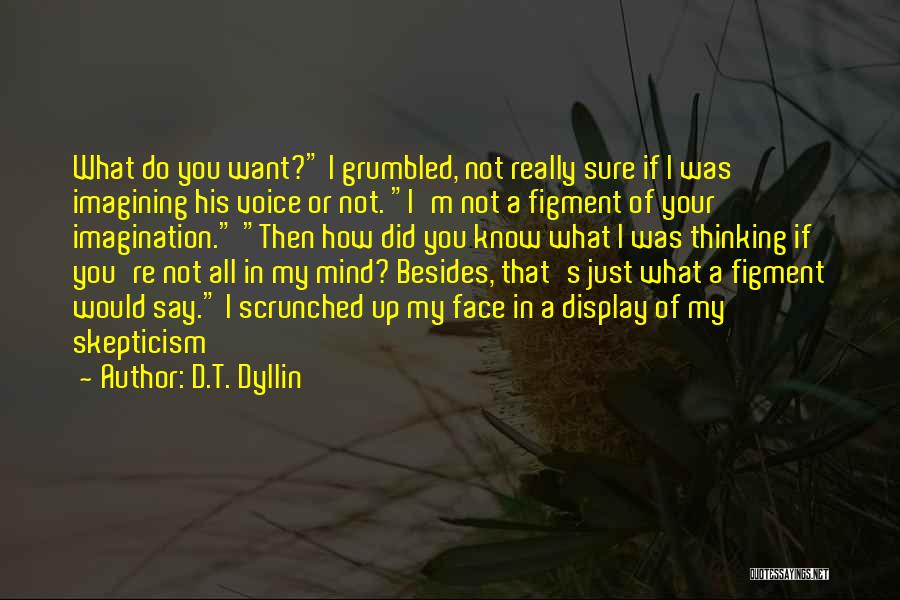 Figment Of Your Imagination Quotes By D.T. Dyllin