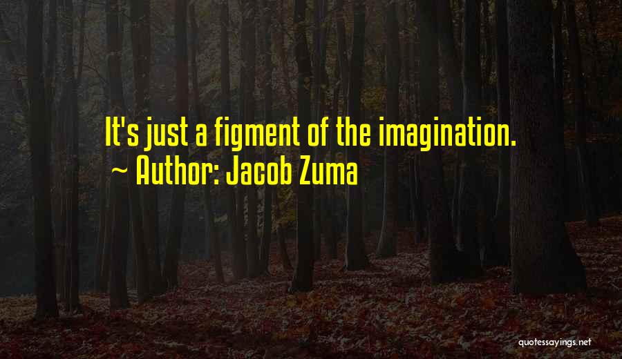 Figment Of Your Imagination Quotes By Jacob Zuma