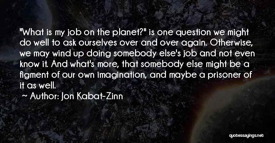 Figment Of Your Imagination Quotes By Jon Kabat-Zinn