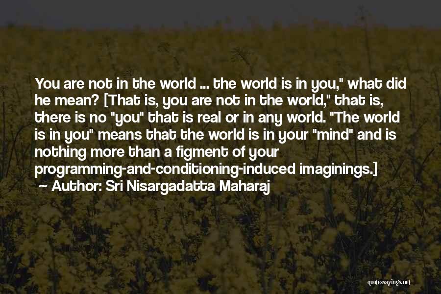 Figment Quotes By Sri Nisargadatta Maharaj