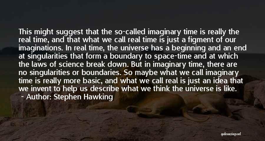 Figment Quotes By Stephen Hawking