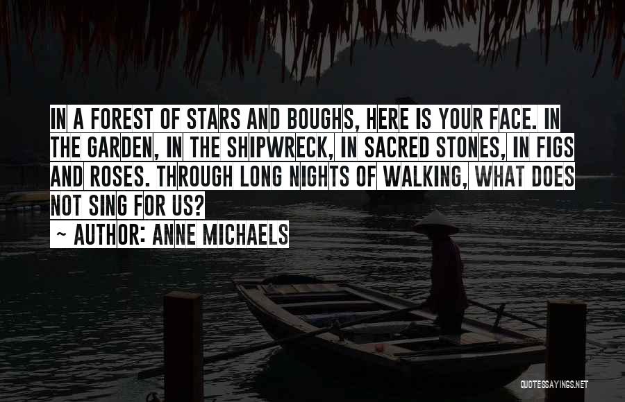 Figs Quotes By Anne Michaels