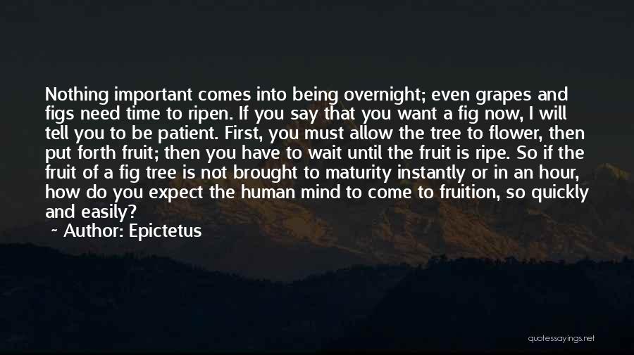 Figs Quotes By Epictetus