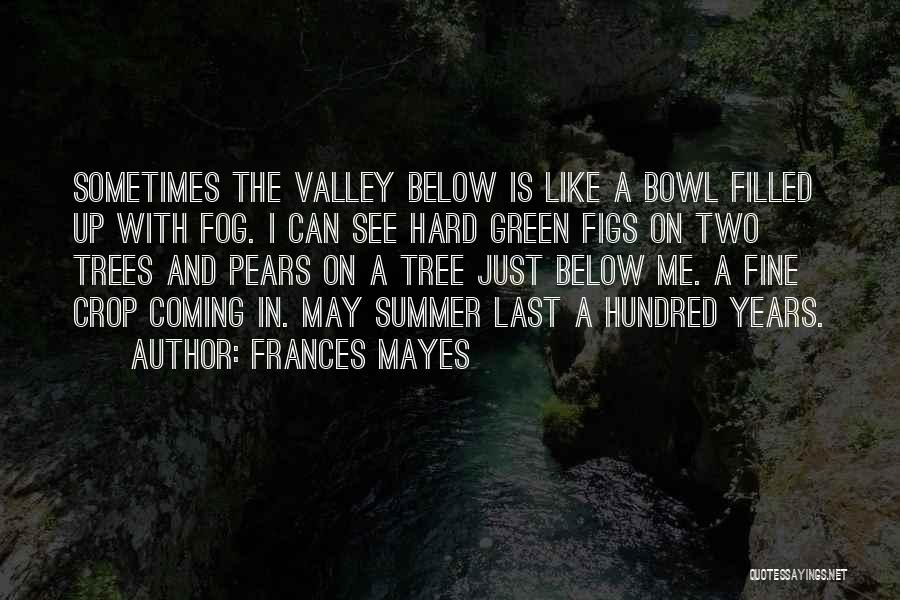 Figs Quotes By Frances Mayes