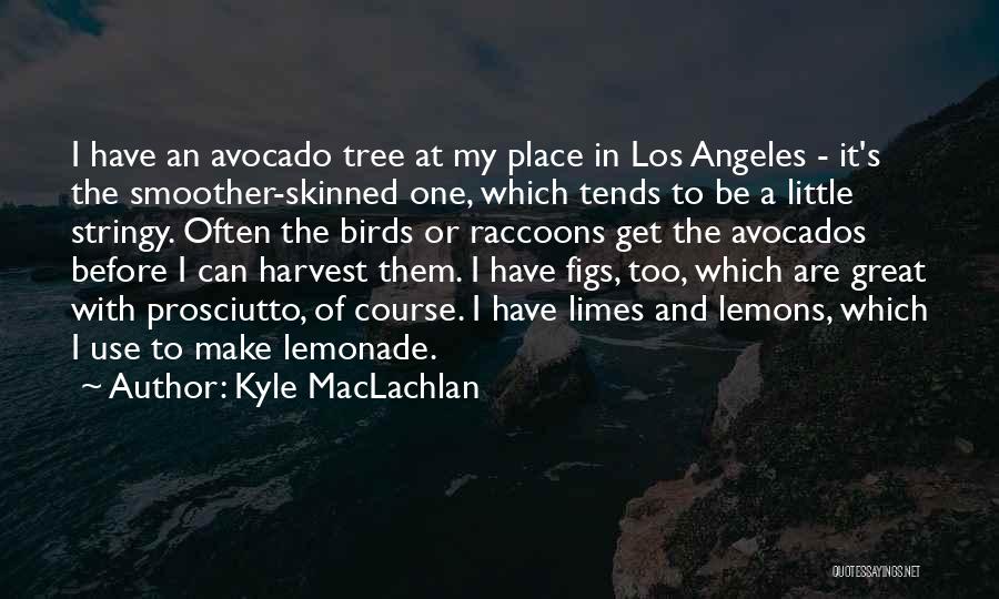 Figs Quotes By Kyle MacLachlan