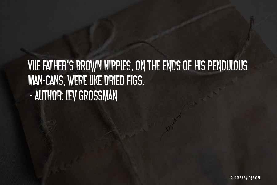 Figs Quotes By Lev Grossman