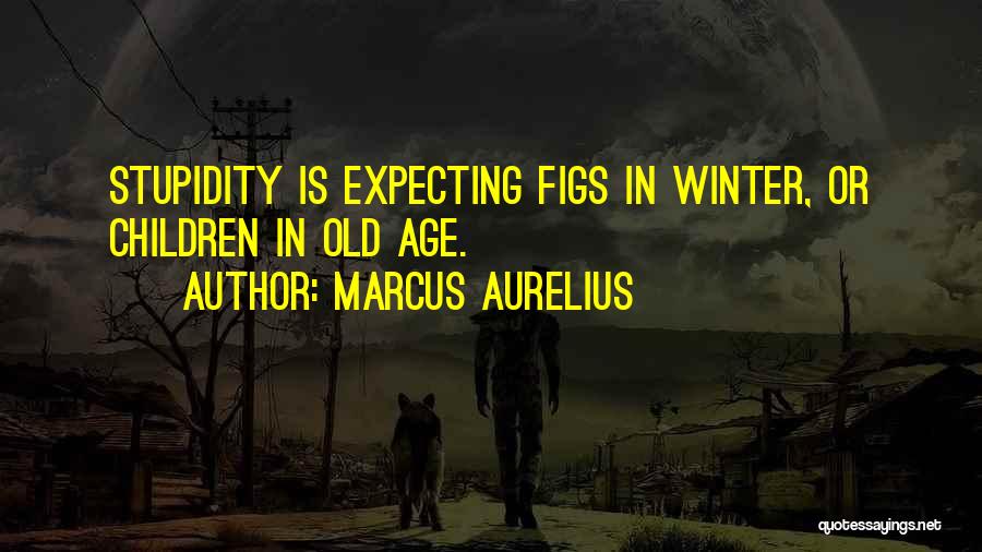 Figs Quotes By Marcus Aurelius