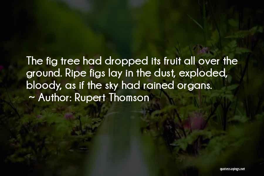 Figs Quotes By Rupert Thomson