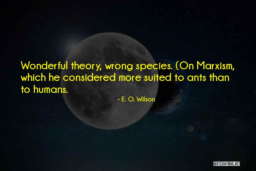 Figueras Riva Quotes By E. O. Wilson Figueras Riva Quotes By E. O. Wilson