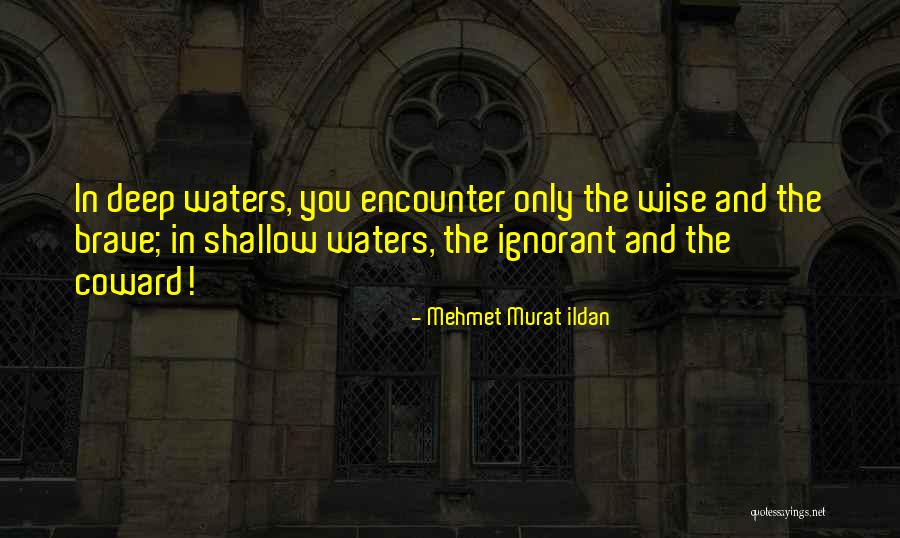 Figuerola Equinesaver Quotes By Mehmet Murat Ildan Figuerola Equinesaver Quotes By Mehmet Murat Ildan