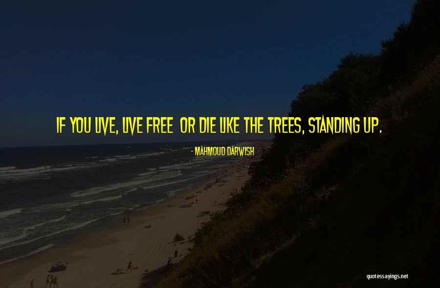 Figuerola Joint Quotes By Mahmoud Darwish Figuerola Joint Quotes By Mahmoud Darwish