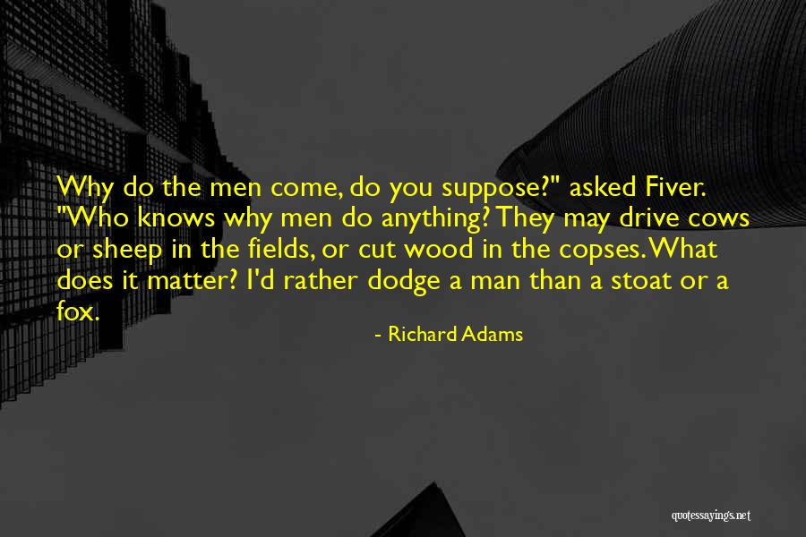 Figurativa No Realista Quotes By Richard Adams Figurativa No Realista Quotes By Richard Adams