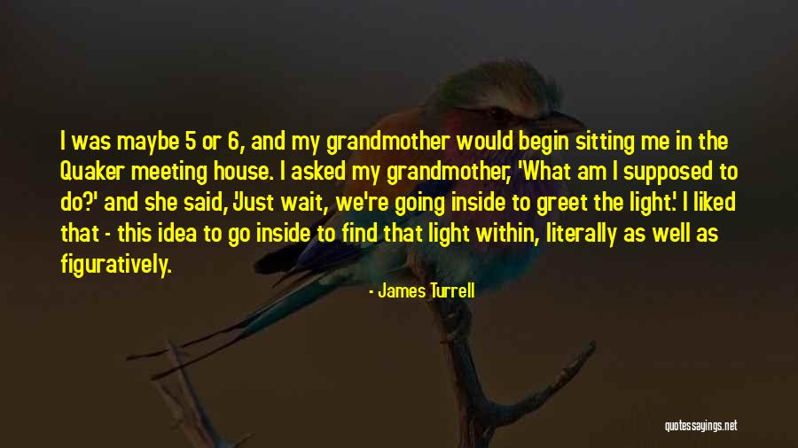 Figuratively And Literally Quotes By James Turrell Figuratively And Literally Quotes By James Turrell