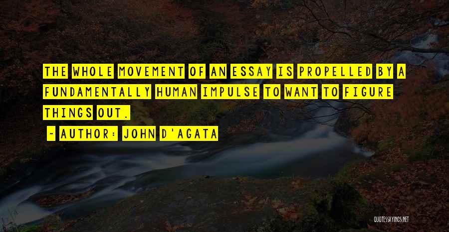 Figures Quotes By John D'Agata