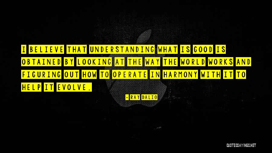 Figuring Out My Life Quotes By Ray Dalio Figuring Out My Life Quotes By Ray Dalio