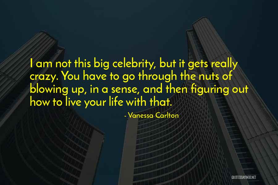 Figuring Out My Life Quotes By Vanessa Carlton Figuring Out My Life Quotes By Vanessa Carlton