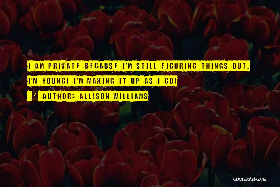 Figuring Things Out Quotes By Allison Williams