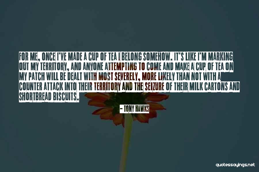 Fiil Nedir Quotes By Tony Hawks Fiil Nedir Quotes By Tony Hawks