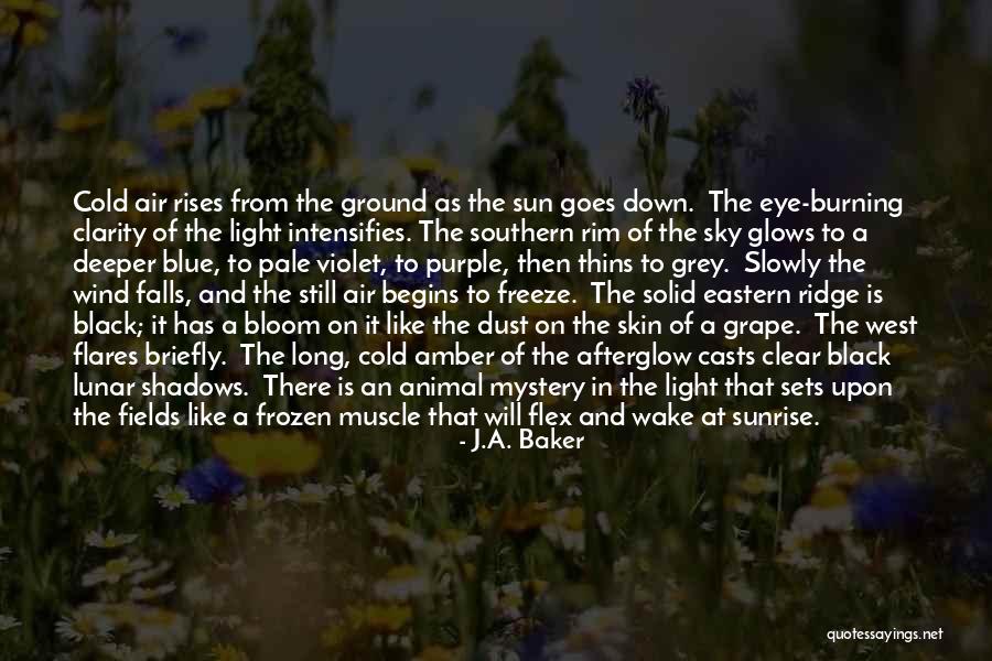 Fiinta De Hartie Quotes By J.A. Baker Fiinta De Hartie Quotes By J.A. Baker
