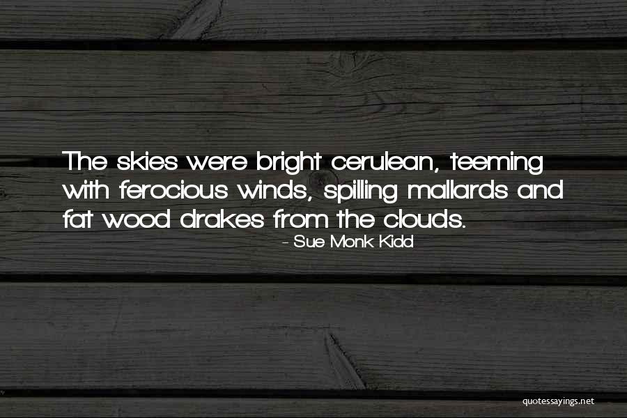 Fijan Advisors Quotes By Sue Monk Kidd Fijan Advisors Quotes By Sue Monk Kidd