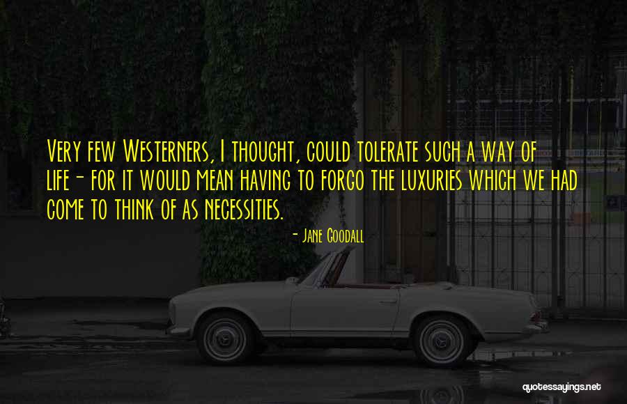 Filardo Gelateria Quotes By Jane Goodall Filardo Gelateria Quotes By Jane Goodall