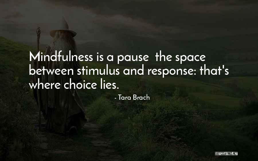 Fildes Care Quotes By Tara Brach Fildes Care Quotes By Tara Brach