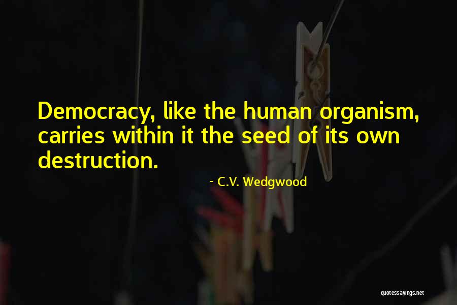 File Windows Quotes By C.V. Wedgwood File Windows Quotes By C.V. Wedgwood