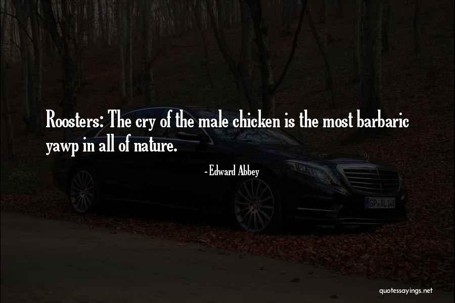Filerack Quotes By Edward Abbey Filerack Quotes By Edward Abbey