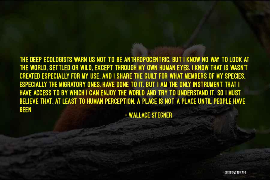 Filiberto Garcia Quotes By Wallace Stegner Filiberto Garcia Quotes By Wallace Stegner
