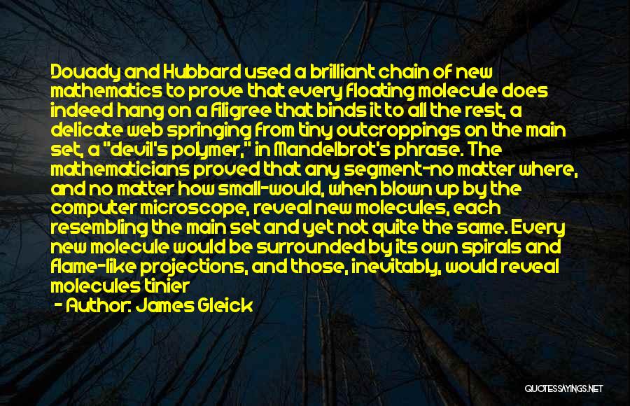 Filigree Quotes By James Gleick