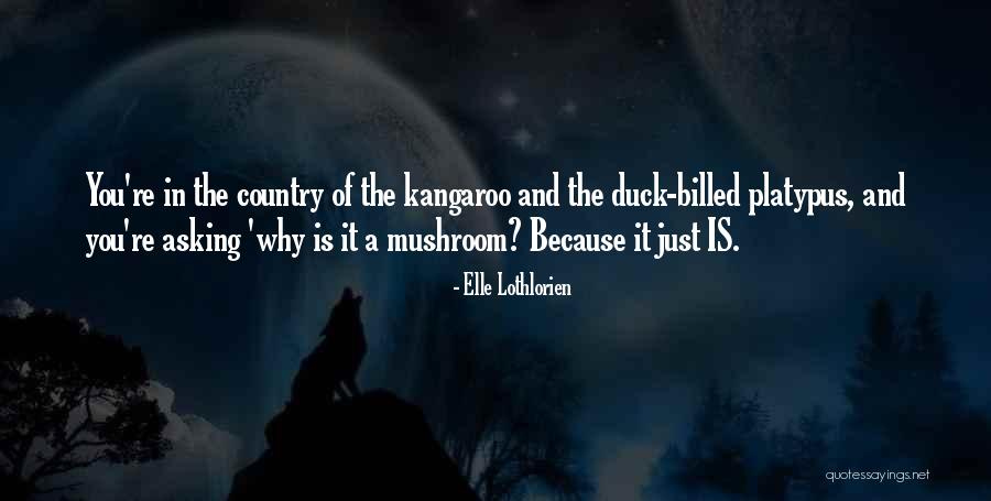 Filiola Quotes By Elle Lothlorien Filiola Quotes By Elle Lothlorien