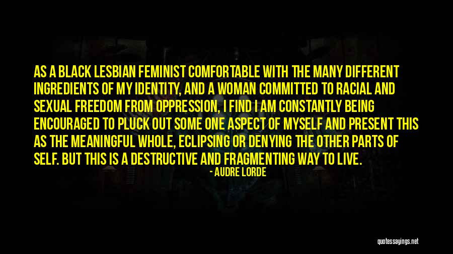 Filipescu Buzau Quotes By Audre Lorde Filipescu Buzau Quotes By Audre Lorde
