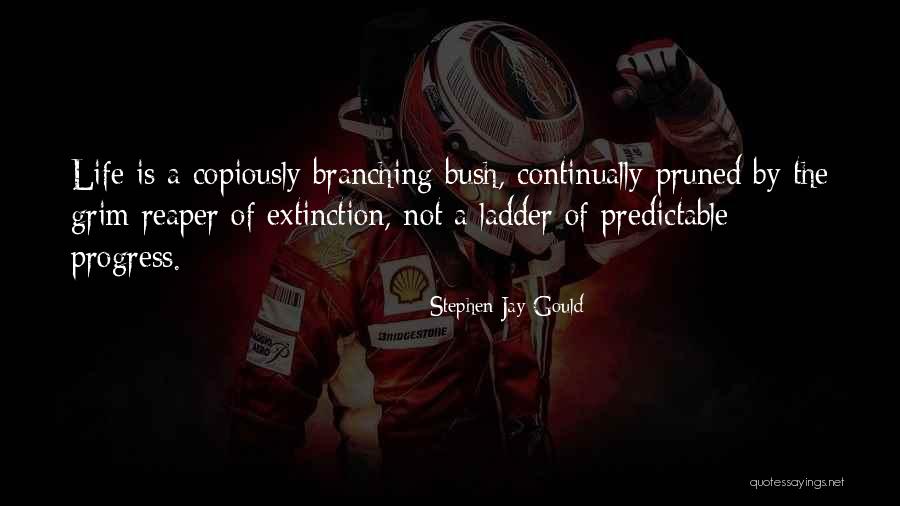 Filipiak Restaurant Quotes By Stephen Jay Gould Filipiak Restaurant Quotes By Stephen Jay Gould