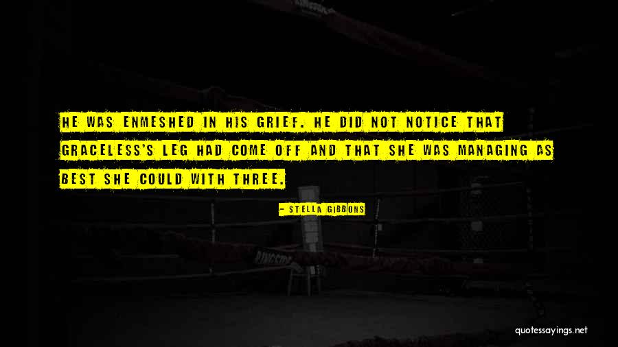 Filipidescu Quotes By Stella Gibbons Filipidescu Quotes By Stella Gibbons