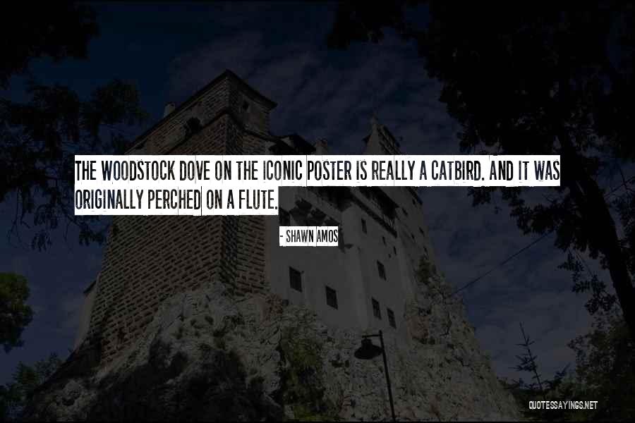 Filisteo Significato Quotes By Shawn Amos Filisteo Significato Quotes By Shawn Amos