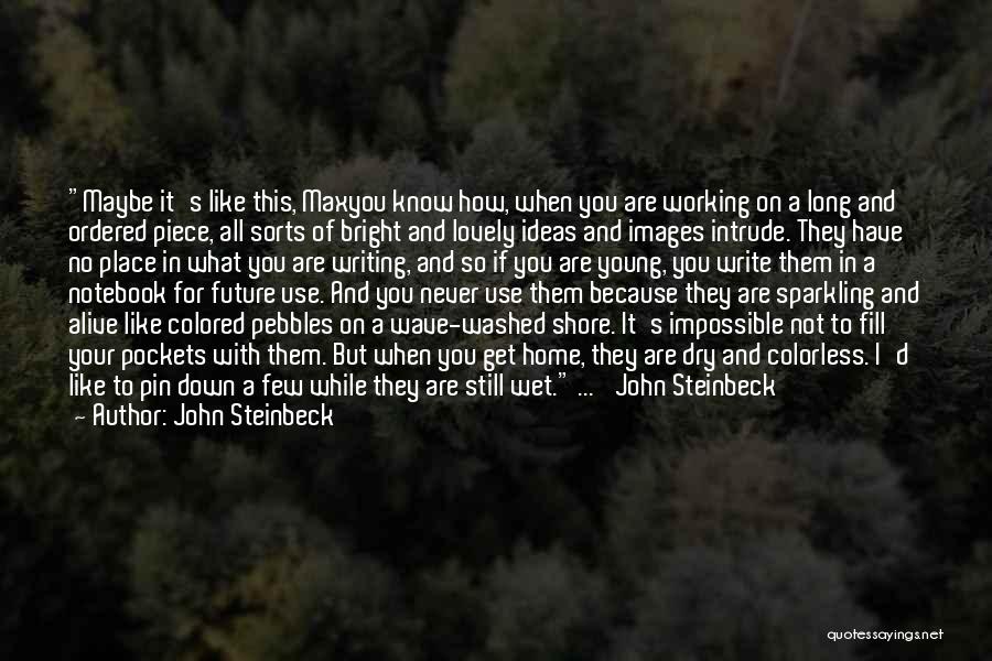 Fill Down Quotes By John Steinbeck