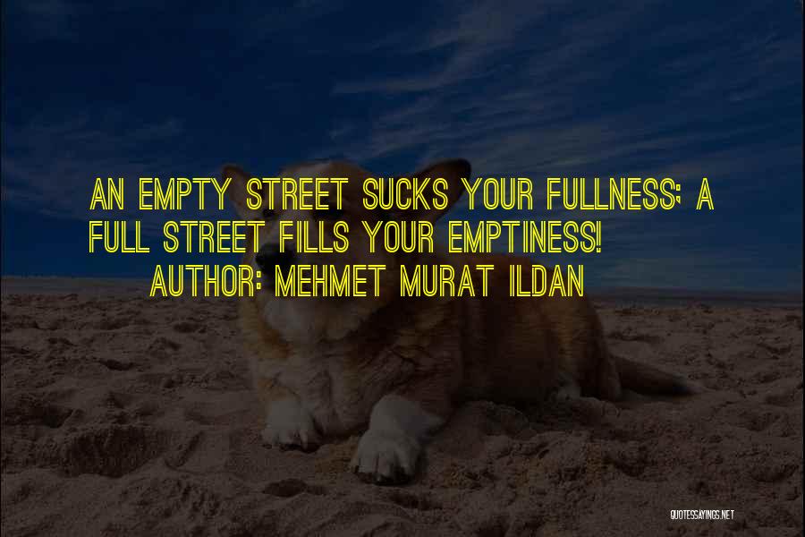 Fill Emptiness Quotes By Mehmet Murat Ildan