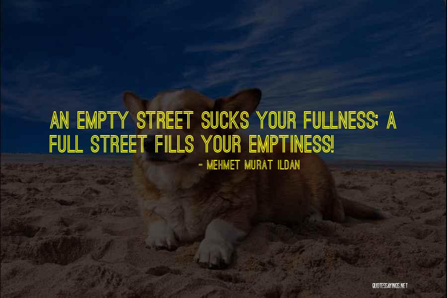 Fill Emptiness Quotes By Mehmet Murat Ildan