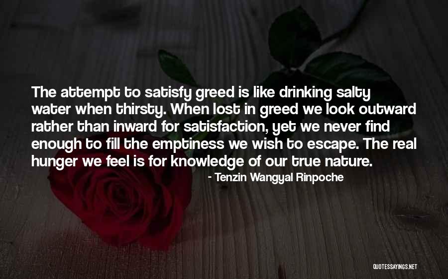 Fill Emptiness Quotes By Tenzin Wangyal Rinpoche