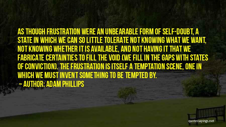 Fill In The Gaps Quotes By Adam Phillips