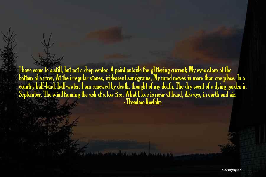 Fillies Fastpitch Quotes By Theodore Roethke Fillies Fastpitch Quotes By Theodore Roethke