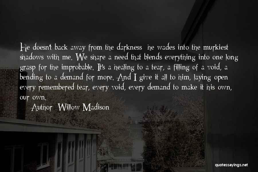 Filling A Void Quotes By Willow Madison