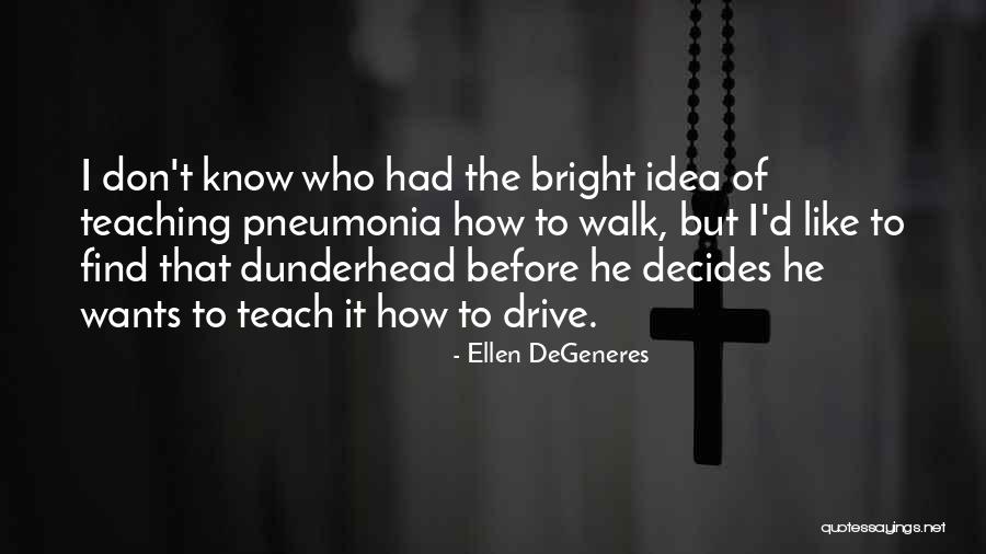 Film Bebas Quotes By Ellen DeGeneres Film Bebas Quotes By Ellen DeGeneres