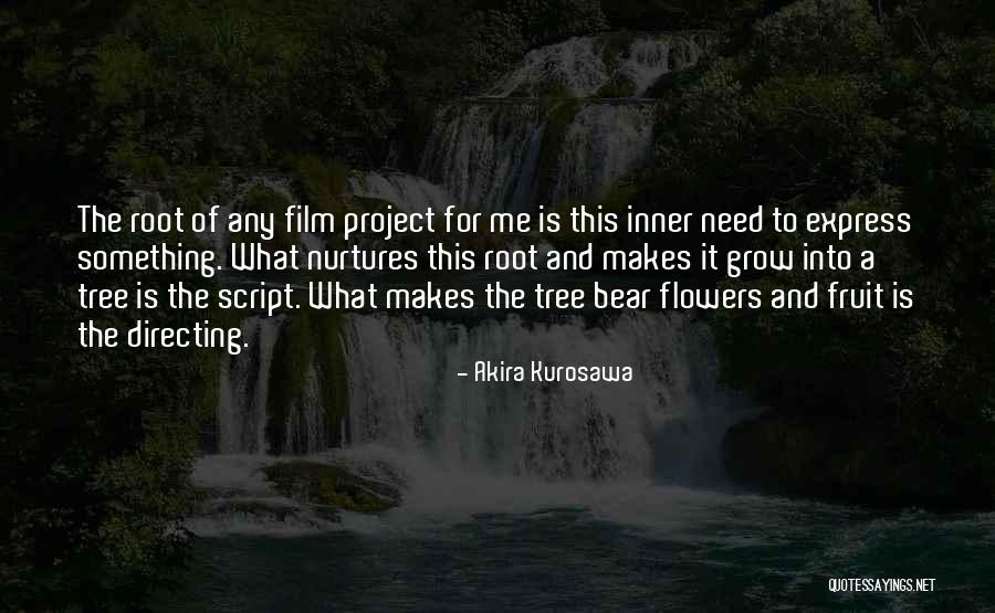 Film Directing Quotes By Akira Kurosawa